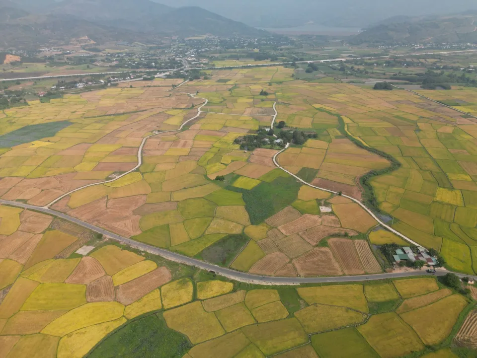 Hạt gạo trong thúng